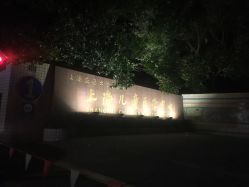 -上海交通大学医学院附属上海儿童医学中心(陆家嘴总院区)