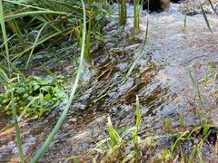 -呈贡滇池生态湿地公园