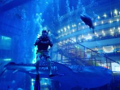 -成都浩海立方海洋公园