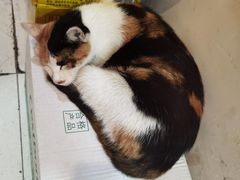 -浏阳河湘菜馆(五一支路店)