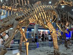 -国家自然博物馆