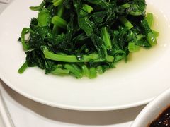 -新吉士·上海菜(浦东LCM置汇旭辉店)