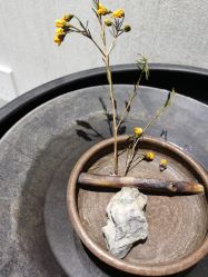 -铂诗玥医美