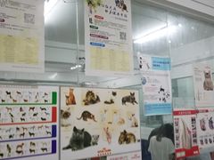 -成都民大动物医院