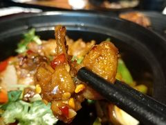 砂锅活牛蛙-好介口深夜酒馆(梅江店)