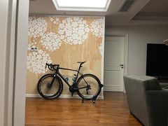 -TREK崔克自行车(碧云店)