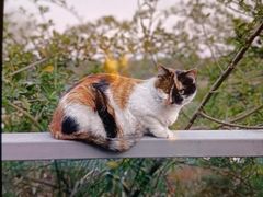 -BUND·FIVE外滩5号(天际店)