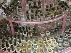 -KKV(深圳宏发大仟里店)