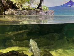 -江和美海洋公园