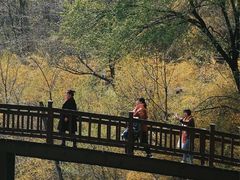 -山西通天峡景区