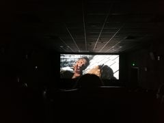 -卢米埃影城(合生广场IMAX店)