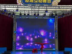 -史努比缤纷世界