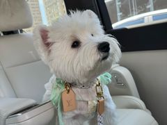 -中粮·祥云小镇