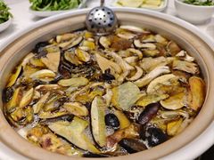 -爱膳菌锅锅(阳南店)