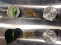 -THE MATCHA TOKYO抹茶东京