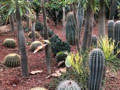 -呀路古热带植物园