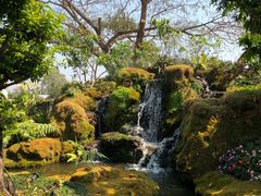 -Chom Cafe and Restaurant