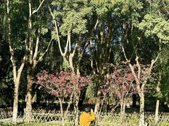 -丰台科技园生态主题公园