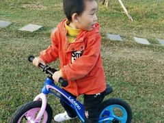 -八爪矩阵极限运动馆·儿童平衡车·感统训练(南海子公园校区)