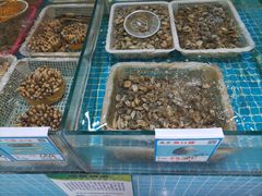 -锦里海景海鲜餐厅.三亚老字号(亚龙湾中心广场店)