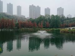 -重庆彩云湖湿地公园