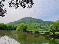 -八卦田遗址公园