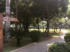 -万绿园