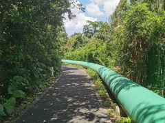 -华侨城湿地公园