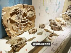 -国家自然博物馆