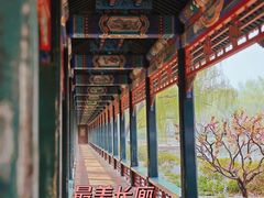 -颐和园