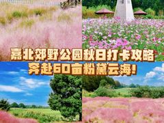 -嘉北郊野公园