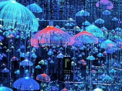-深圳独角兽星空艺术馆