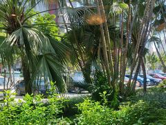 -勝記酒家·37年老字号·经典粤菜(荔枝公园店)