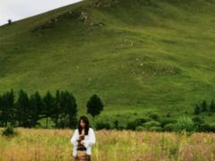 -乌兰布统景区-白桦林