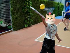 -Our Pickleball多多动匹克球俱乐部(世博源店)