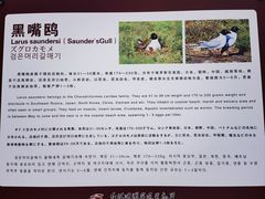 -红海滩国家风景廊道