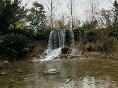 -成飞公园