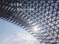 -南汇嘴观海公园
