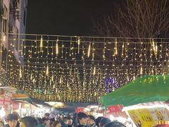 -南湖公园地摊集市