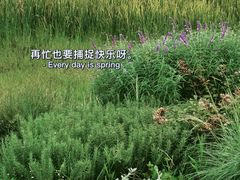 -桂溪生态公园