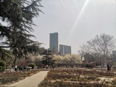 -睦南公园