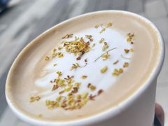 -Fulu Coffee福禄(花园城店)