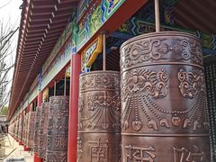 -皇罗禅寺