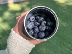 -石家庄市植物园