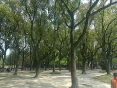 -上海市龙华烈士陵园