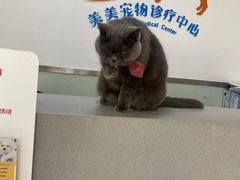 -美美宠物诊疗中心·异宠·骨科(滨江东信分院)