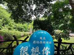 -西双版纳原始森林公园
