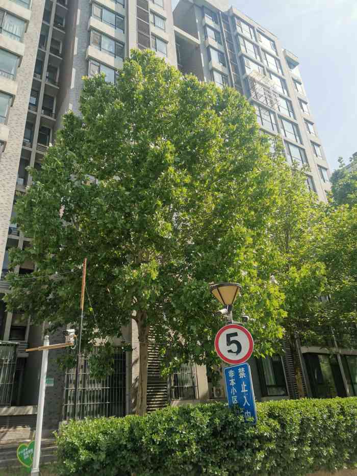 华龙美晟-"这个小区没有所谓的隔音效果,楼上闹铃响我.