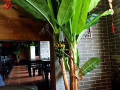 -渔乡米坊·岭南传统小吃专门店(天河龙口西店)