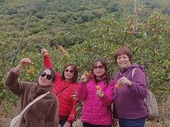 -玉龙寨旅游景区